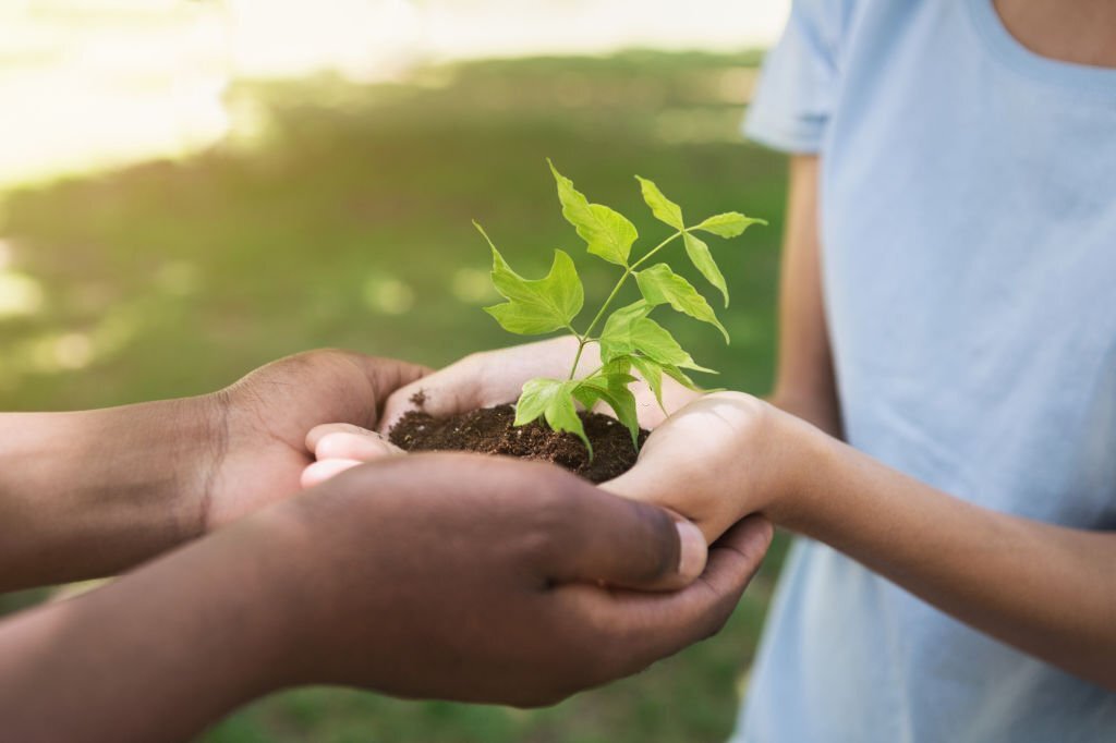 Two volunteers hands holding and caring young green tree. Planting tree, love nature, save the world concept, copy space